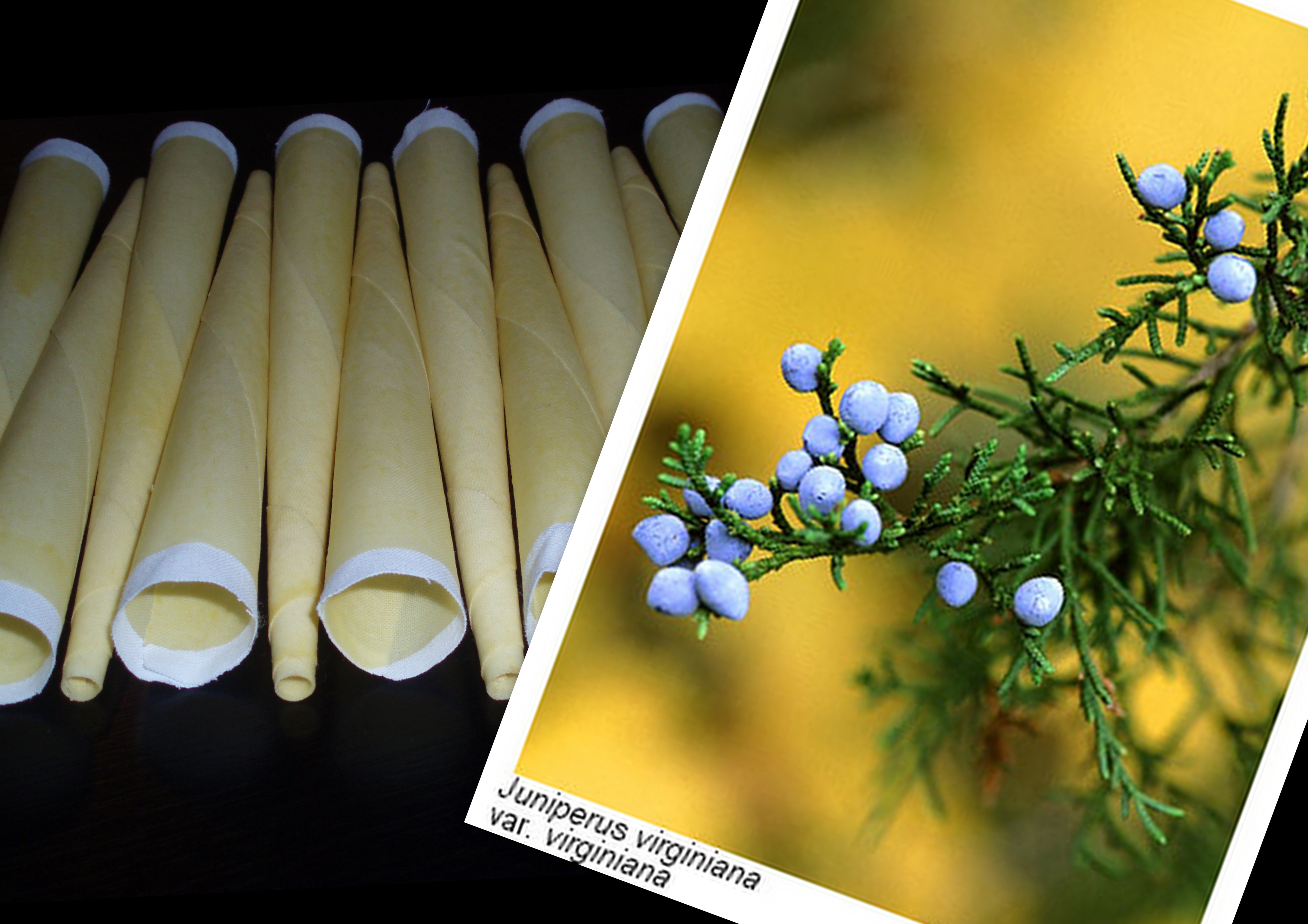 Cédrová telová sviečka 1ks