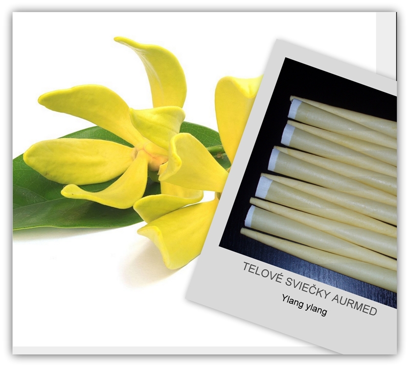 Ylang Ylang telová sviečka - veľké balenie 10 ks